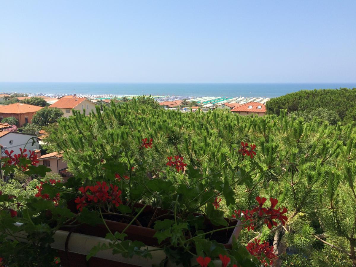Hotel Il Caravaggio Marina di Pietrasanta Dış mekan fotoğraf